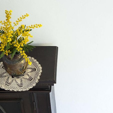 La Villa Nei Fiori Florencie Exteriér fotografie