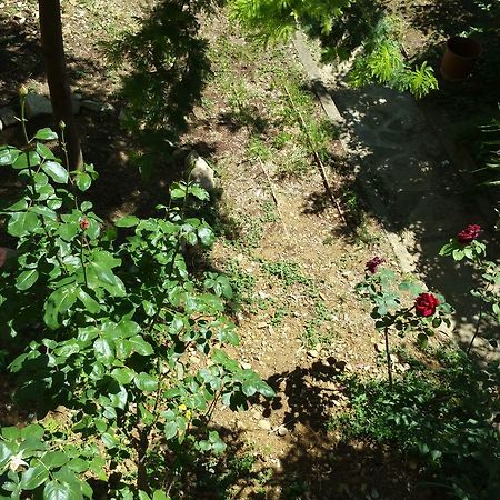 La Villa Nei Fiori Florencie Exteriér fotografie
